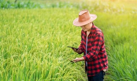 Gaji 10 Juta Per Bulan Begini Tata Cara Pendaftaran Menjadi Petani