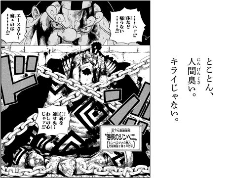 One Piece 54巻 〝もう誰にも止められない〟 原作コミックス One （ワンピース ドットコム）