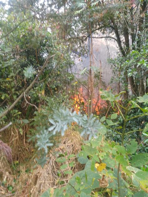 Incendio Forestal Termin Destruyendo Una Vivienda En El Sector Juan