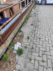 Le Segnalazioni Degrado Urbano A Lecco