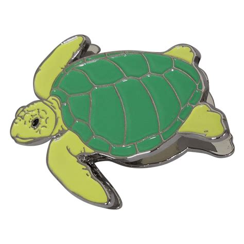 Sea Turtles Videos National Marine Sanctuaries Clip Art Library