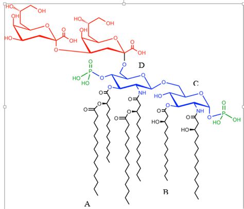 Solved Lipid A is a lipid component of an endotoxin that is | Chegg.com