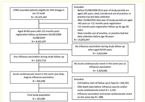 Study Population Flow Chart Overview Of Study Population Numbers Based