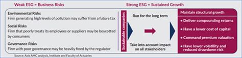 Axis Esg Equity Fund Responsible Investing To Provide Green Shoots