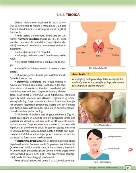 Biologie Pentru Clasa A Vii A A Pdf Pag