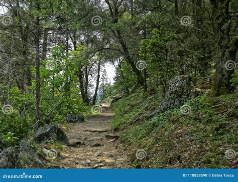 Worn Dirt And Rocky Path Along Ocean Shore With Variety Of Sizes Of