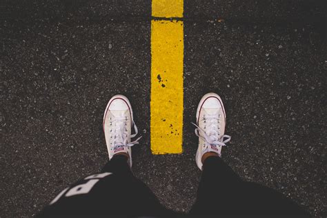 Free Images Wing Feet Asphalt Line Color Darkness Black Yellow