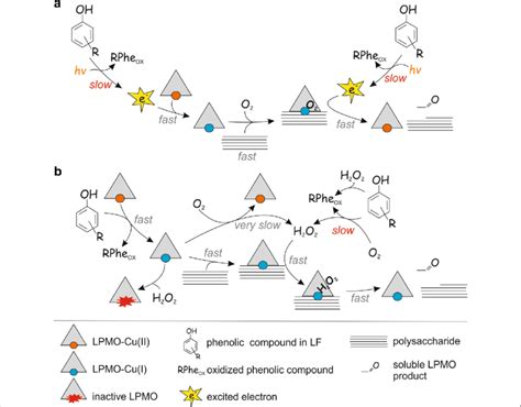 Possible Mechanisms Of Liquid Fraction LF Driven Degradation Of