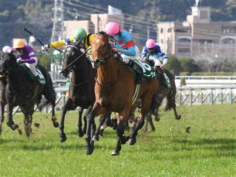 【先週のjra抹消馬】フェブラリーs3着のセキフウ、“小倉巧者”で鳴らしたアリーヴォなど 2024年2月26日掲載 ライブドアニュース