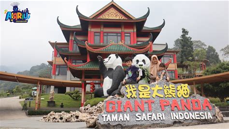 Istana Panda Taman Safari Indonesia Youtube