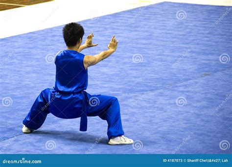 Chinese Martial Arts (Wushu) Editorial Stock Photo - Image of karate, fighter: 4187073