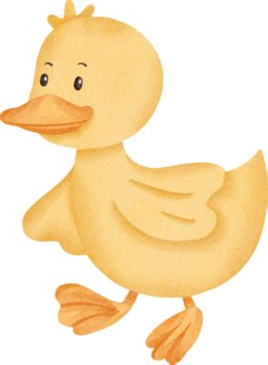 Duck PNGs for Free Download