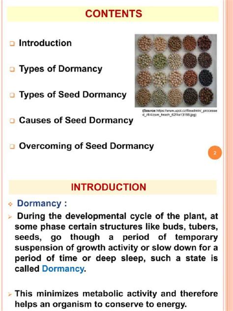 Seed Dormancy | PDF