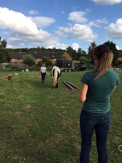 Myofascial Therapy — Jessica Limpkin Equine Massage Therapy