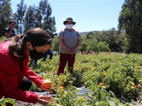 Ministerio de Agricultura decreta emergencia agrícola en provincias