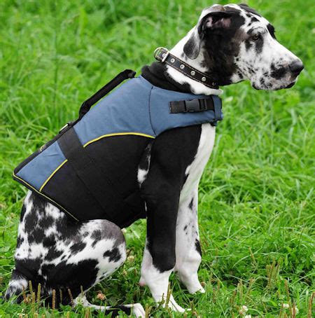 Adjustable Nylon Vest for Great Dane : Great Dane Breed: Dog Harness, Great Dane Dog Muzzle ...