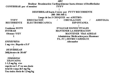 Arm C J Bono Arritmias En El Iam Disociaci N Electromec Nica