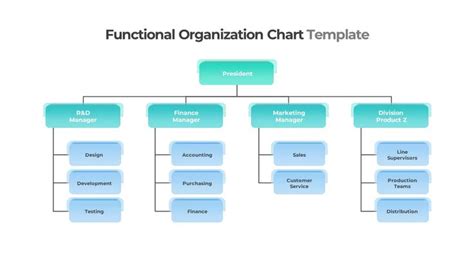 Functional Organizational Chart | Organizational chart, Organization ...