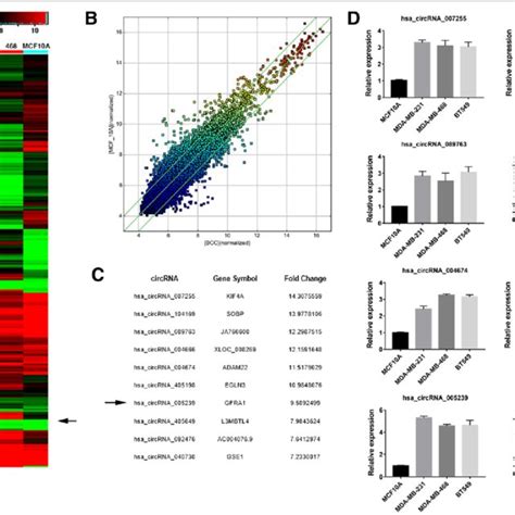 CircRNA Expression Profiles In TNBC A The Cluster Heat Map Showed The