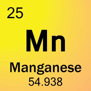 Manganese Uses and Health Benefits - Good Whole Food