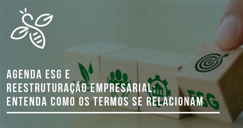 Agenda Esg E Reestrutura O Empresarial Entenda Como Os Termos Se