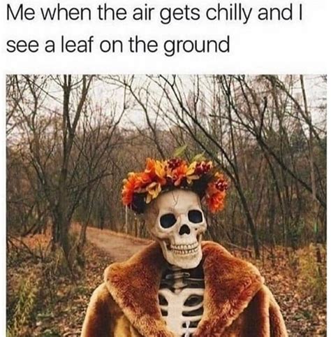 Fall Memes Artofit