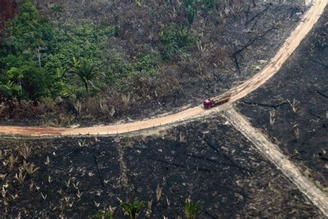 Desmatamento na Amazônia quase dobra em comparação ao ano anterior