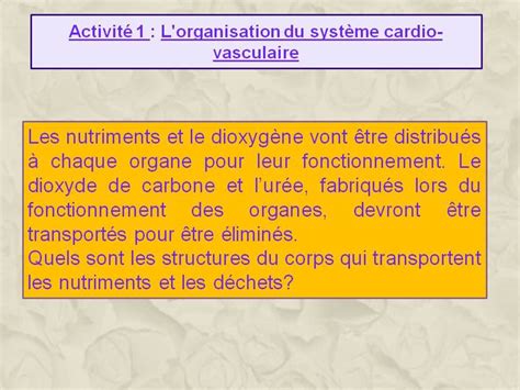 Le On Le Transport Des Nutriments Du Dioxyg Ne Et Des D Chets Aux