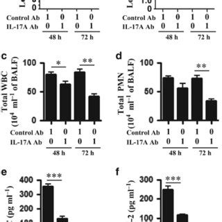 Blockade Of Il F In A J Mice Attenuates The Host Immune Response