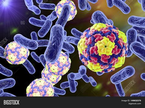 Bacteria Viruses On Image Photo Free Trial Bigstock