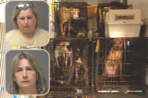 Crazy Rescue Ladies Offered Plea Deal In Brick Nj Hoarding