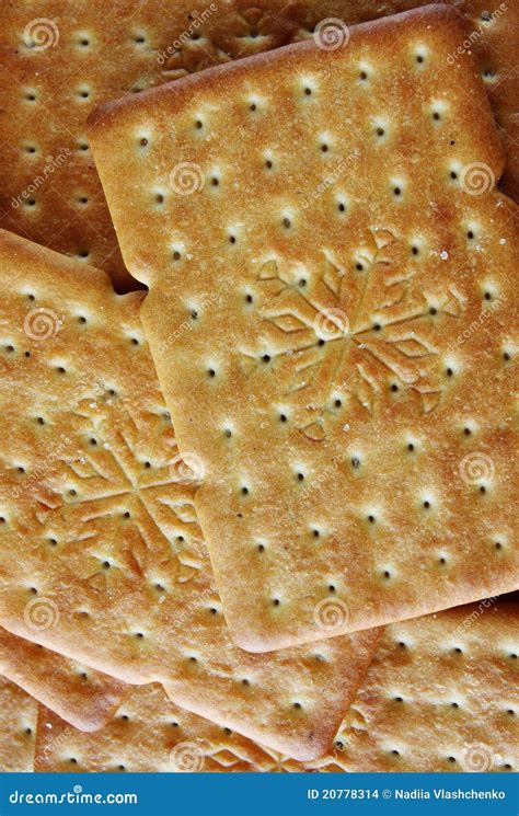 Salty cracker stock photo. Image of flat, fiber, bake - 20778314