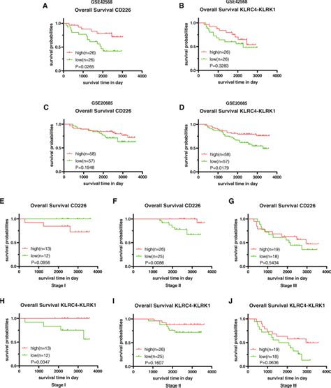 Validating The Prognostic Genes Identified In The Tcga Database Are