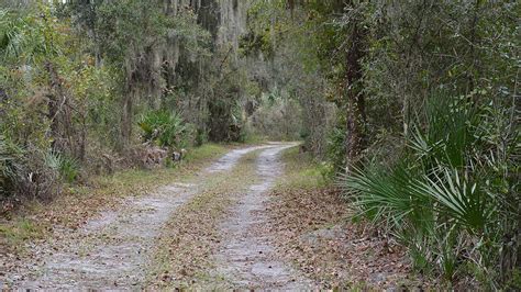 Peace River Trail Paynes Creek State Park Florida Hikes