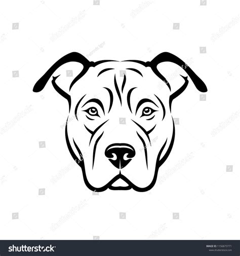 1881 Pitbull Drawing Stock Vectors Images And Vector Art Shutterstock