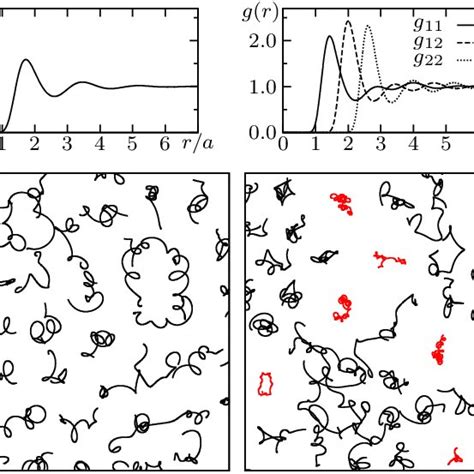 Color Online Pair Distribution Functions And Particle Trajectories