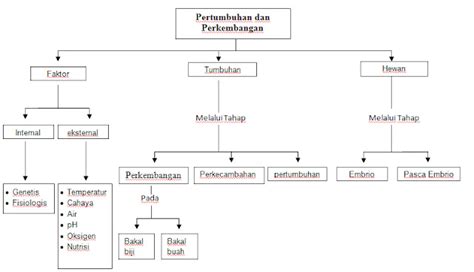 Peta Konsep Perkembangan Biakan Tumbuhan Youtube Video Imagesee