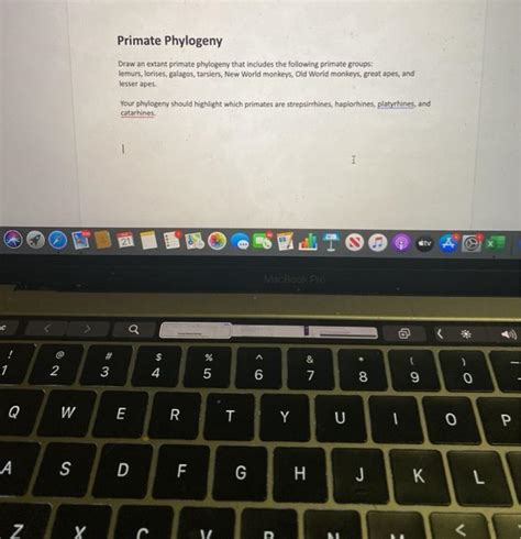 Solved Primate Phylogeny Draw An Extant Primate Phylogeny Chegg
