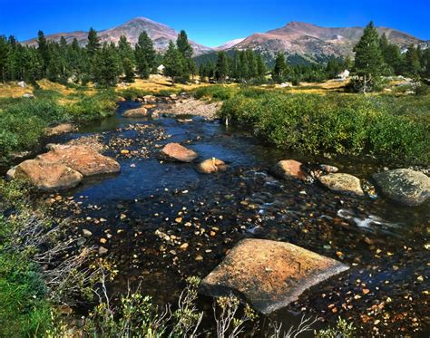 Best Beginner Backpacking Trips In California Wildland Trekking