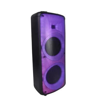 Temeisheng Dual 10 Inch Woofer Audio Box With Attratic Party Light High