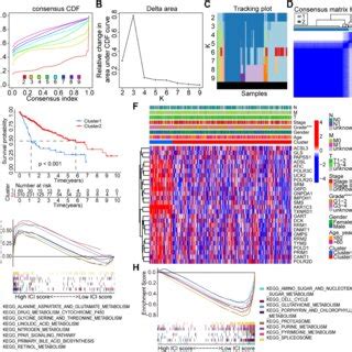 Consensus Clustering Analysis Based On The Prognostic Fer MRGs In HCC