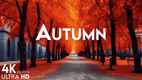 11 HOURS Of 4K Enchanting Autumn Nature Scenes Relaxing Piano Music