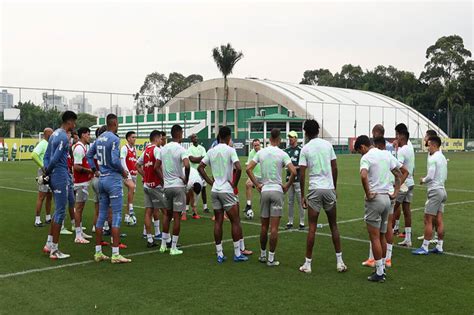 Palmeiras Inicia Prepara O Para Jogo Contra O Fortaleza