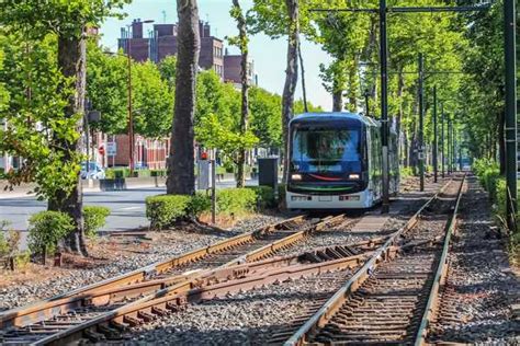 10 Best Local Dishes From Lille Famous Food Locals Love To Eat In