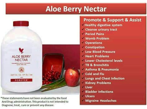 Forever Berry Nectar All The Benefits Of Aloe Vera With Added Cranberry And Sweet Apple Aloe