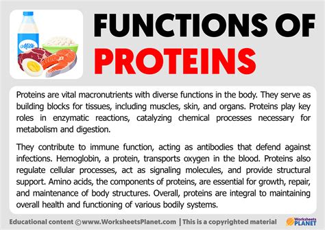 Function of Proteins