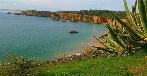 J Se Pode Ir A Banhos Na Praia Do Alem O Em Portim O