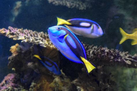 À la découverte de l océarium du Croisic en Loire Atlantique