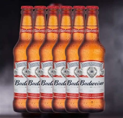 Cerveja Budweiser Long Neck 330ml Pack 6 Unidades Promotop