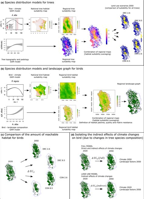 Representation Of The Modelling Framework Connecting Species